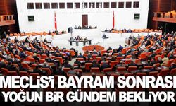 Trafik cezaları Meclis’e geliyor… Bayram sonrası görüşülecek