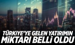 Türkiye'ye gelen yatırımın miktarı belli oldu
