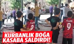 Kurbanlık boğa kasaba saldırdı!