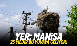 Yer: Manisa! 25 yıldır bu yuvaya geliyor