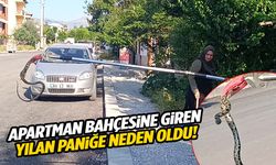 Yılanlar her yeri sardı… Ege’de apartmanın bahçesine giren yılan korkuttu!