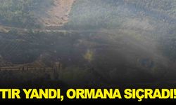 İzmir Çevreyolu’nda tır alev aldı, ormanlık alan tutuştu