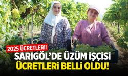 2025 Sarıgöl Üzüm İşçisi Ücretleri: Kesi, Kasa, Seleci, Yükleme Ücretleri