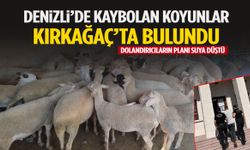 25 koyunla şok dolandırıcılık! Dolandırıcılar Manisa’da kıskıvrak yakalandı…
