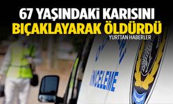 67 yaşındaki karısını bıçaklayarak öldürdü!