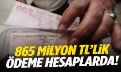 865 milyon TL’lik ödeme hesaplara yatırıldı