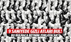 9 saniyede gizli atları bul! Bu satranç tahtasında kaç at saklı?
