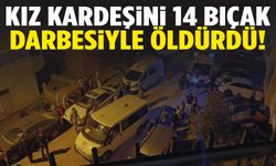 Ağabey, kız kardeşini bıçaklayarak öldürdü