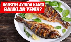 Ağustos ayında hangi balıklar yenir?