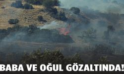 Aydın'da zeytinlik yangınına neden olan baba ve oğul gözaltına alındı!