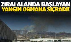 Efeler’de yangın! Ormana sıçradı…