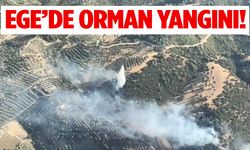 Kuyucak’ta zirai ve makilik alanda yangın çıktı