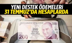Bakan duyurdu! Yeni destek ödemeleri 31 Temmuz’da hesaplarda