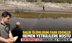 Balık ölümleri Manisa’yı alarma geçirdi!