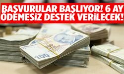 Başvurular başlıyor! 6 ay ödemesiz destek verilecek…