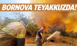 Bornova diken üstünde! Herkes seferber oldu!