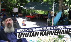 Bu kahvehaneye giden gözünü zor açıyor! Uyuyakalıyorlar: İşte sebebi…