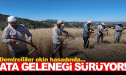 Manisa’da asırlık gelenek yaşatılıyor… İlkel yöntemler ve el birliğiyle…