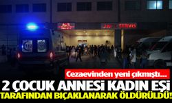 Cezaevinden yeni çıkan cani eşini 20’den fazla bıçak darbesiyle öldürdü!