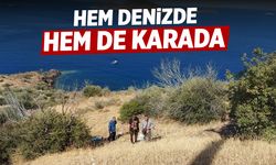 Ege sahillerinde hareketlilik!