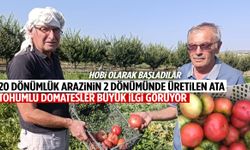 Manisa’da kardeşlerin hobi olarak ürettiği ata tohumlu domatesler pazarın yıldızı oldu!