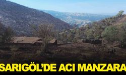 Sarıgöl yangını evleri ve tarlaları küle çevirdi!