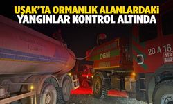Uşak’taki üç ayrı orman yangını kontrol altına alındı: 3 gözaltı