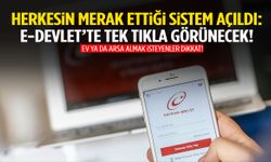 Herkesin merak ettiği sistem açıldı: e-Devlet’te artık tek tıkla görünecek!