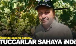 Manisa’da erkenci üzüm alımları başladı