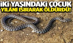 İki yaşındaki çocuk yılan ısırarak öldürdü
