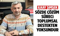 İlkay Şimşek: Sözde çözüm süreci toplumsal destekten yoksundur