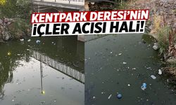 Kentpark Deresi'nin içler acısı hali