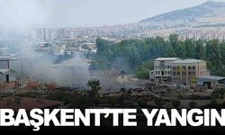 Otluk alanda çıkan yangın fayans deposunu küle çevirdi