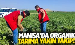 Manisa’da organik tarıma yakın takip!