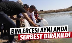 Manisa’da binlercesi aynı anda serbest bırakıldı! Saniyeler içinde farklı noktalara dağıldılar