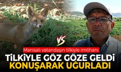 Manisalı vatandaşın tilkiyle imtihanı: Tilki arkadaş hoşgeldin