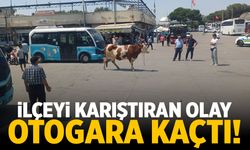 Manisa’nın ilçesi karıştı! Can havliyle otogara kaçtı...