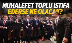 Muhalefet toplu şekilde istifa ederse ne olur?