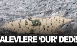 Sürülen toprak alevlere geçit vermedi
