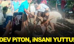 Dehşete düşüren olay… 8 metrelik piton 61 yaşındaki çiftçiyi yuttu