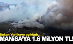 Yangınlar 13 ilde 407 konut, 17 iş yeri ve 96 ahıra zarar verdi... Manisa da listede!