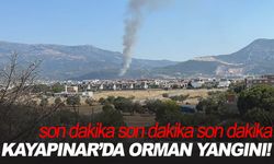 Kayapınar’da yangın alarmı: Alevler hızla yayılıyor