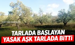 Tarlada başlayan yasak aşk tarlada bitti