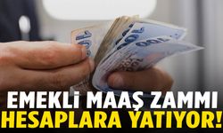 Emeklilere Temmuz zammı yatıyor!