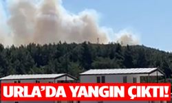 Urla’da yangın başladı! Müdahale sürüyor…