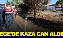 Yoldan geçen sürücüler fark etti… Ege’de acı kaza!