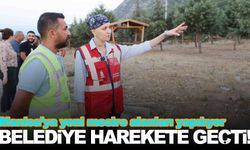 Manisa’nın 2 noktasına mesire alanı… Detayları Başkan Durbay açıkladı