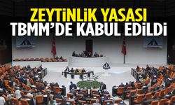 Zeytinlik yasası TBMM’de kabul edildi