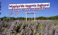 Manisa’da Lavanta Bahçesi kapılarını açtı!