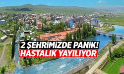 2 şehirde hastalık paniği! 1 şehrimize daha sıçradı...